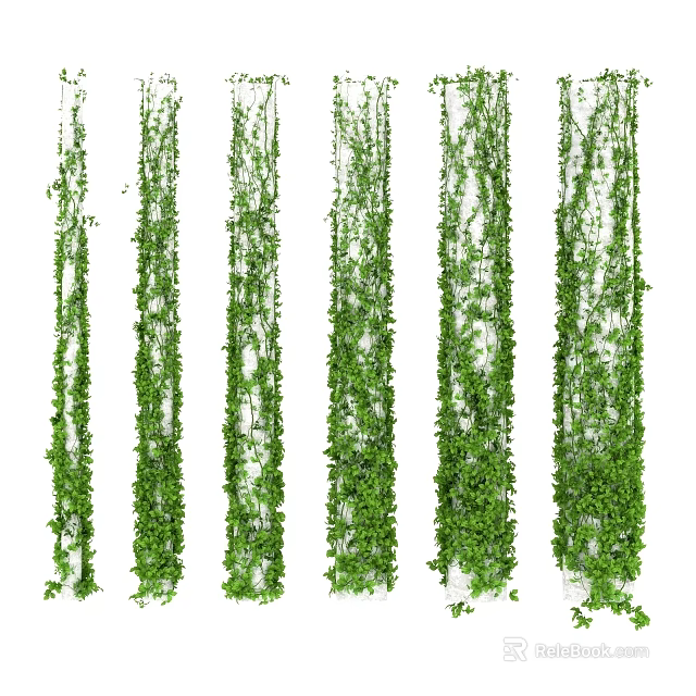 Lush Green Vines Hanging as Decorative Leafy Plants for Home Decoration 3d model 