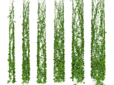Lush Green Vines Hanging as Decorative Leafy Plants for Home Decoration 3d model