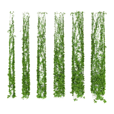 Lush Green Vines Hanging as Decorative Leafy Plants for Home Decoration 3d model