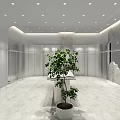 Modern 1993 Clothing Store With Gray Walls Glass Facade Clothing Racks And Potted Plant