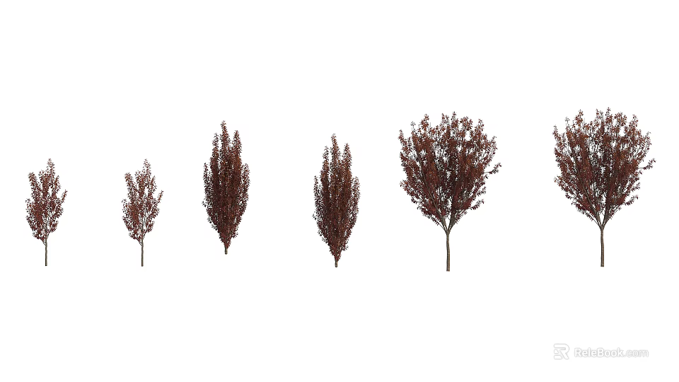 Arbor Display With Various Sizes And Brown Foliage In Natural Growth Stages 3d model 