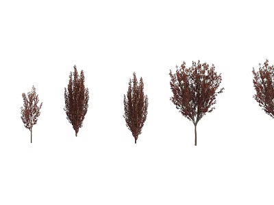 Arbor Display With Various Sizes And Brown Foliage In Natural Growth Stages 3d model