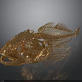 Highly Detailed Golden Fish Skeleton Showing Organ Structure And Bone Features