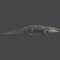 Realistic 3D Crocodile Model With Detailed Scaly Skin And Gray Background