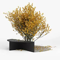 Stylish Black Tree Planters With Yellow Leaf Trees And Gravel Surroundings