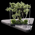 Decorative Arbor Tree With Hanging Ropes On Modern Platform And Surrounding Green Plants
