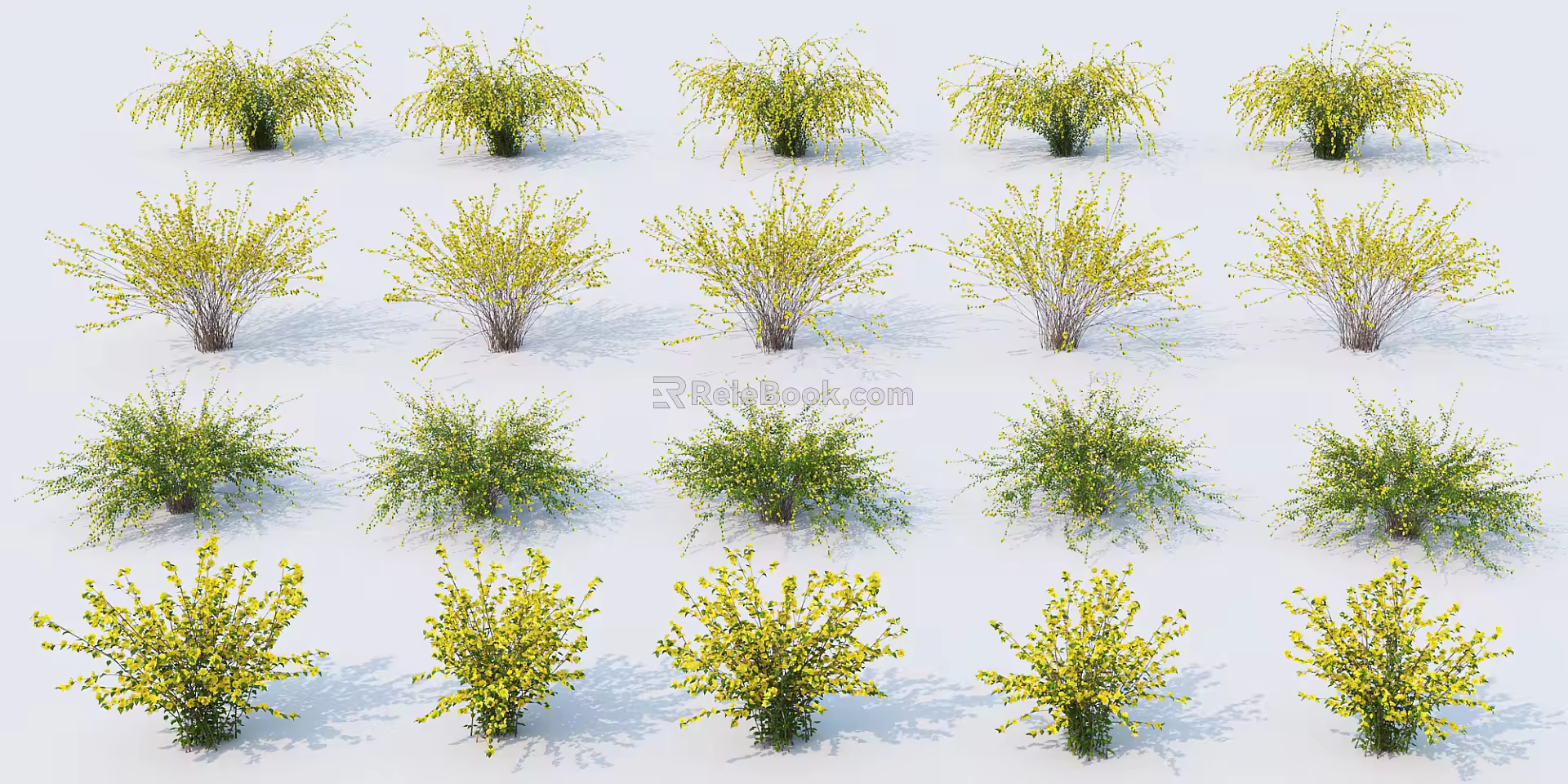 modern shrub assemblage 3d model