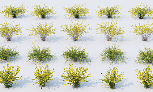 modern shrub assemblage 3d model