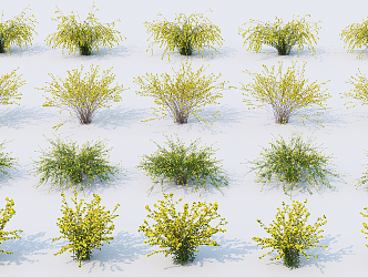 modern shrub assemblage 3d model