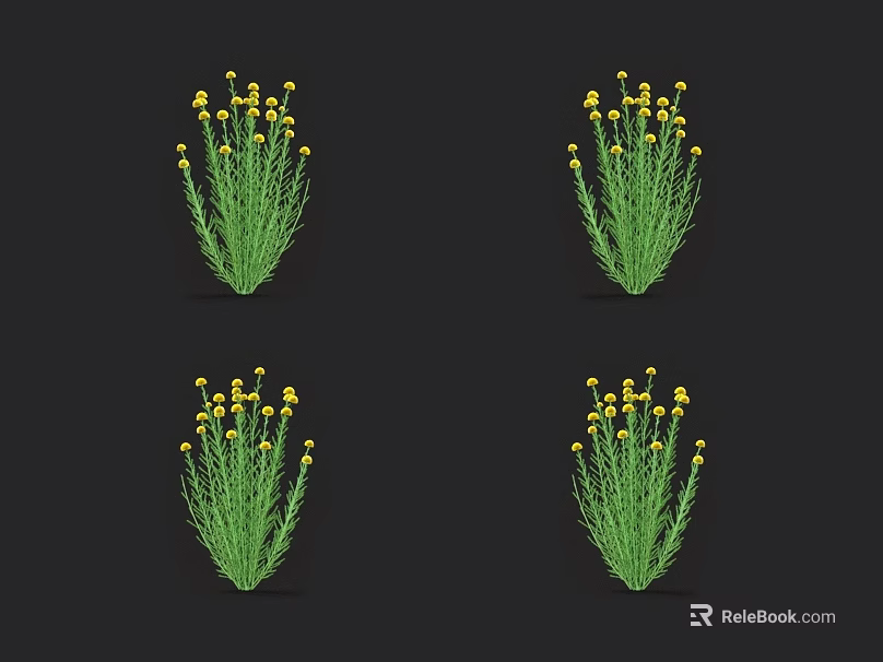 Four Clusters of Yellow Flowering Plants with Green Stems on Black Background 3d model 