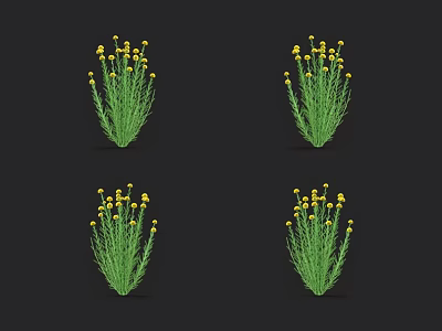 Four Clusters of Yellow Flowering Plants with Green Stems on Black Background 3d model