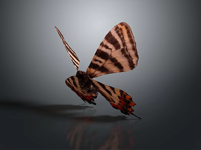 Beautiful Butterfly With Striped Brown And Orange Wings In Flight Against Dark Background With Reflection 3d model