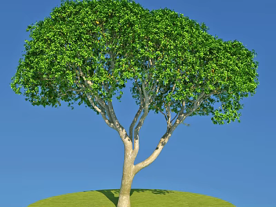Lush Green Tree With Branched Trunk Standing On Green Grassy Mound Under Blue Sky 3d model