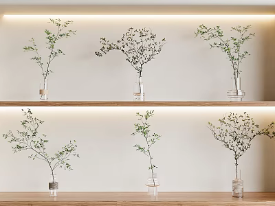 modern vase hydroponic plant combination 3d model