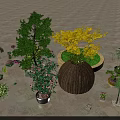 Colorful Bonsai and Potted Plants With Wicker Pots and Assorted Greenery