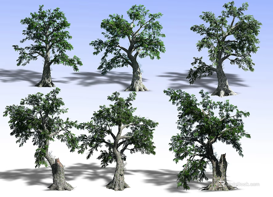 Various Shaped Green Trees With Lush Foliage And Trunks Against Blue Sky 3d model 