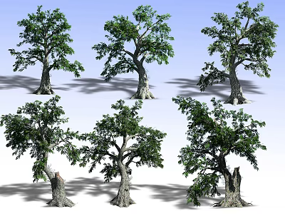 Various Shaped Green Trees With Lush Foliage And Trunks Against Blue Sky 3d model