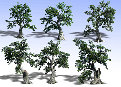 Plants 3d model