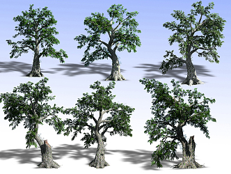 Plants 3d model