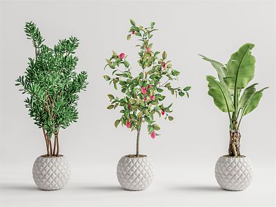 Modern potted plant potted landscape tree model