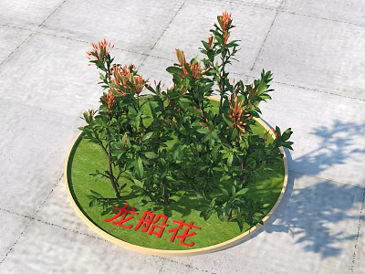 Ixora Flowers With Green Foliage And Orange Blooms In Round Planter 3d model