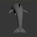 Realistic Gray Dolphin Model Jumping Pose With Smooth Surface And Dark Background Reflection 3d model