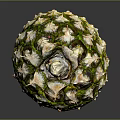 Fresh Pineapple with Green Yellow Skin and Scaly Texture on Dark Background
