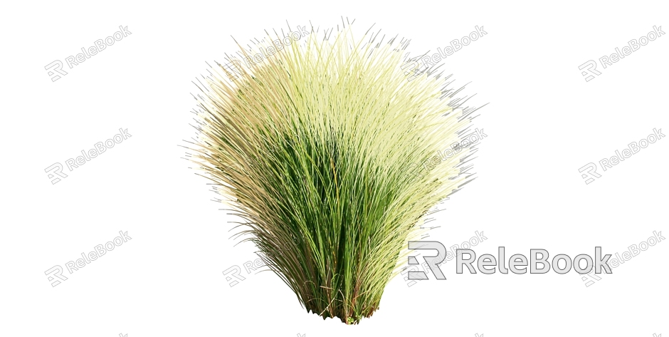 Modern Grass Shrub Grass model