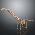 Detailed Dinosaur Skeleton Model With Anatomical Organ Features And Hair Impressions