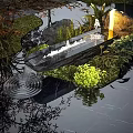 Rockery Stones With Rippling Water And Lush Green Plants In Garden