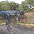 Realistic Reptile Dinosaur With Scaly Skin Standing In Grassland Forest Background