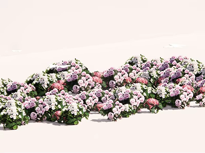 Mixed Purple Pink and White Flowers with Green Leaves in Wavy Arrangement on White Background 3d model