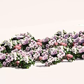 Mixed Purple Pink and White Flowers with Green Leaves in Wavy Arrangement on White Background