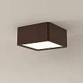 Modern Square Brown Ceiling Light With Bright White Illumination For Home 3d model