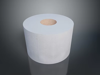 Soft White Textured Toilet Paper Roll Household Essential For Daily Bathroom Use 3d model