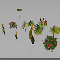 Diverse Potted Plants with Sunflower Roses Succulents and Colorful Flowering Greenery