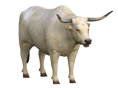 White Bull With Long Horns in 3D Rendering Isolated on White 3d model