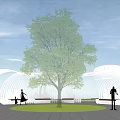 Outdoor Pergola With Large Tree Green Lawn Benches And Leisure Space