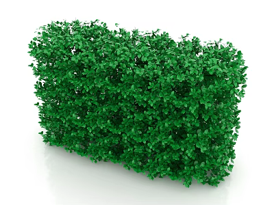 Lush Evergreen Bush With Dense Vibrant Green Foliage For Garden Landscaping 3d model