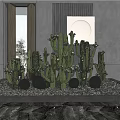 Cactus Bonsai Potted Plants In Modern Indoor Decor With Various Sizes And Natural Stone Base