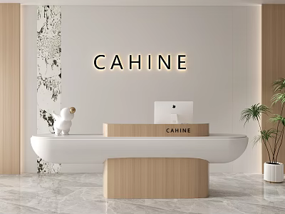 Beauty Salon Front Desk Company Front Desk 3d model