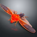 Detailed Red Insect With Orange And Dark Colored Wings On Dark Background