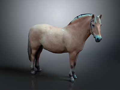 Realistic Light Brown Horse With Blue Black Mane Standing On Gray Background 3d model
