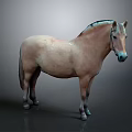 Realistic Light Brown Horse With Blue Black Mane Standing On Gray Background