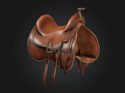 Saddle 3d model