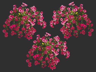 Modern Flowers 3d model