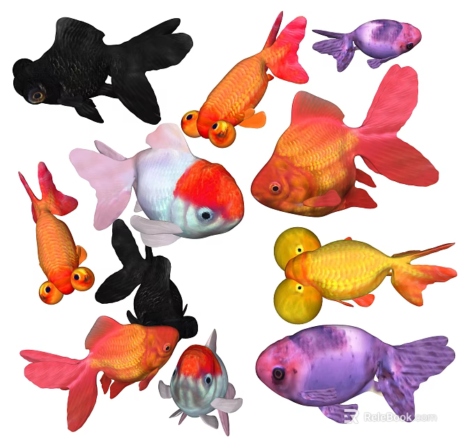 Various Colorful Aquatic Fish With Vibrant Colors And Unique Patterns In Aquarium 3d model 