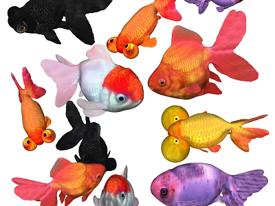 Various Colorful Aquatic Fish With Vibrant Colors And Unique Patterns In Aquarium 3d model