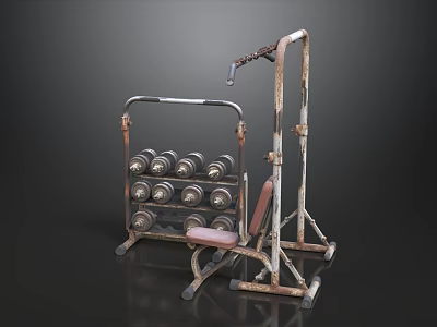 Rusty Fitness Equipment Set With Pull Up Bar Dumbbell Rack And Bench 3d model