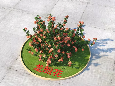 Vibrant Ixora Plants In Circular Green Planter With Orange Blooms Outdoor 3d model
